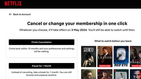 netflix pause account.